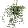 Plante suspendue artificielle Senecio avec pot 35 cm Plante suspendue artificielle Senecio avec pot 35 cm