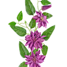 Fleur artificielle Clematis large 81 cm violet Fleur artificielle Clematis large 81 cm violet