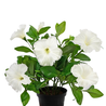 Plante artificielle de pétunia 25 cm blanc Plante artificielle de pétunia 25 cm blanc