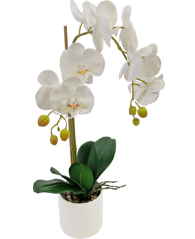Comment différencier les orchidées artificielles