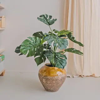 Plante artificielle monstera & philo