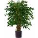Greenmoods Kunstplant Ficus Liana 120 cm Greenmoods Kunstplant Ficus Liana 120 cm