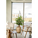 Greenmoods Kunstplant Ficus Liana 120 cm Greenmoods Kunstplant Ficus Liana 120 cm