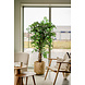 Greenmoods Kunstplant Ficus Liana 180 cm Greenmoods Kunstplant Ficus Liana 180 cm