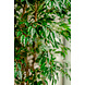 Greenmoods Kunstplant Ficus Liana 180 cm Greenmoods Kunstplant Ficus Liana 180 cm