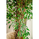 Greenmoods Kunstplant Ficus Liana 180 cm Greenmoods Kunstplant Ficus Liana 180 cm