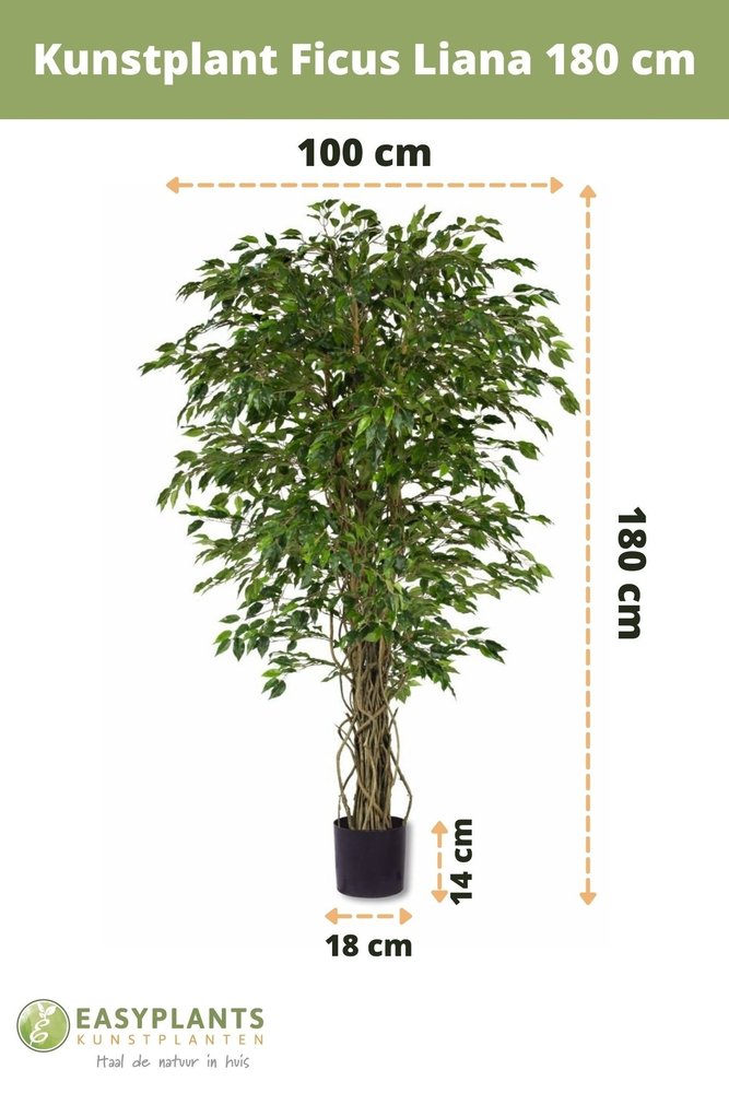 Plante artificielle d'intérieur Ficus liane