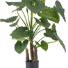 Greenmoods Kunstplant Alocasia 120 cm Greenmoods Kunstplant Alocasia 120 cm