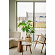 Greenmoods Kunstplant Alocasia 120 cm Greenmoods Kunstplant Alocasia 120 cm