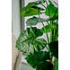 Greenmoods Kunstplant Alocasia 120 cm Greenmoods Kunstplant Alocasia 120 cm