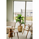 Greenmoods Kunstplant Ficus Crazy 120 cm Greenmoods Kunstplant Ficus Crazy 120 cm