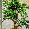 Greenmoods Kunstplant Ficus Crazy 120 cm Greenmoods Kunstplant Ficus Crazy 120 cm