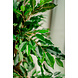 Greenmoods Kunstplant Ficus Crazy 120 cm Greenmoods Kunstplant Ficus Crazy 120 cm