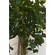 Greenmoods Kunstplant Schefflera klein blad 150 cm Greenmoods Kunstplant Schefflera klein blad 150 cm