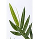 Greenmoods Kunstplant Bamboe 90 cm Greenmoods Kunstplant Bamboe 90 cm
