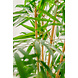 Greenmoods Kunstplant Bamboe 120 cm Greenmoods Kunstplant Bamboe 120 cm