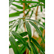 Greenmoods Kunstplant Bamboe 120 cm Greenmoods Kunstplant Bamboe 120 cm