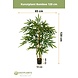 Greenmoods Kunstplant Bamboe 120 cm Greenmoods Kunstplant Bamboe 120 cm
