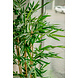Greenmoods Kunstplant Bamboe 150 cm Greenmoods Kunstplant Bamboe 150 cm