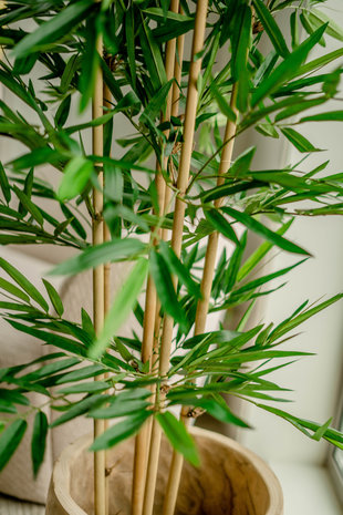 Greenmoods Planta artificial Bambú 150 cm - Greenmoods