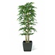 Greenmoods Kunstplant Bamboe 300 cm brandvertragend Greenmoods Kunstplant Bamboe 300 cm brandvertragend