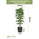Greenmoods Kunstplant Bamboe 300 cm brandvertragend Greenmoods Kunstplant Bamboe 300 cm brandvertragend