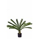 Greenmoods Kunstplant Cycus Palm Deluxe 95 cm Greenmoods Kunstplant Cycus Palm Deluxe 95 cm