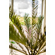Greenmoods Kunstplant Cycus Palm Deluxe 95 cm Greenmoods Kunstplant Cycus Palm Deluxe 95 cm