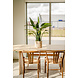 Greenmoods Kunstplant Cycus Palm Deluxe 95 cm Greenmoods Kunstplant Cycus Palm Deluxe 95 cm