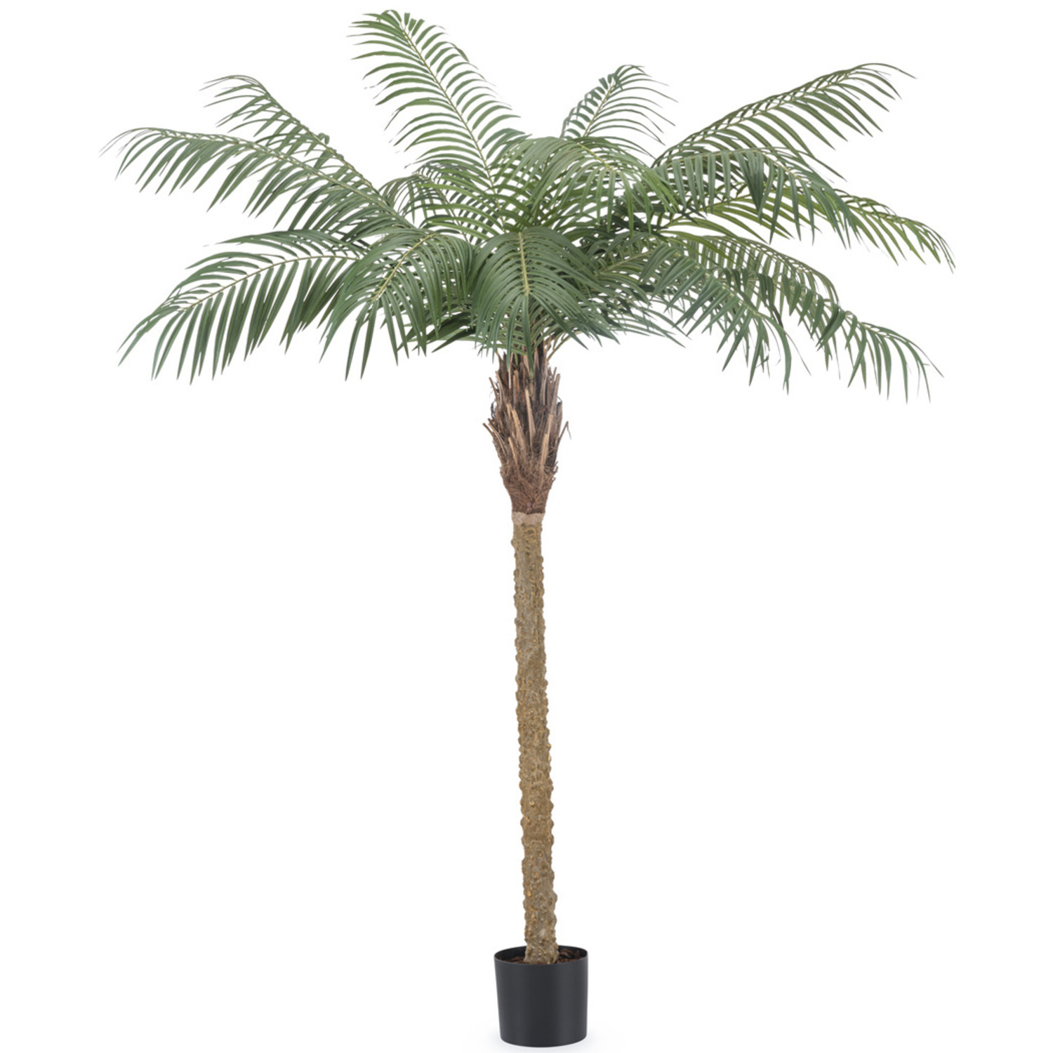 Palmera artificial Phoenix Canary XXL sobre base 300cm