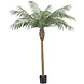 Greenmoods Kunstplant Phoenix Palm De Luxe 180 cm Greenmoods Kunstplant Phoenix Palm De Luxe 180 cm