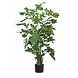 Greenmoods Kunstplant Fishtail Palm 160 cm Greenmoods Kunstplant Fishtail Palm 160 cm
