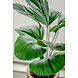 Greenmoods Kunstplant Lucuala Grandis 120 cm Greenmoods Kunstplant Lucuala Grandis 120 cm