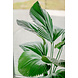 Greenmoods Kunstplant Lucuala Grandis 120 cm Greenmoods Kunstplant Lucuala Grandis 120 cm