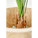 Greenmoods Kunstplant Lucuala Grandis 120 cm Greenmoods Kunstplant Lucuala Grandis 120 cm