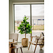 Greenmoods Kunstplant Fiddle Leaf Tree 150 cm Greenmoods Kunstplant Fiddle Leaf Tree 150 cm