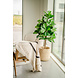 Greenmoods Kunstplant Fiddle Leaf Tree 150 cm Greenmoods Kunstplant Fiddle Leaf Tree 150 cm