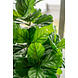Greenmoods Kunstplant Fiddle Leaf Tree 180 cm Greenmoods Kunstplant Fiddle Leaf Tree 180 cm