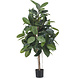 Greenmoods Kunstplant Rubber Plant 150 cm Greenmoods Kunstplant Rubber Plant 150 cm