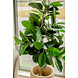 Greenmoods Kunstplant Rubber Plant 150 cm Greenmoods Kunstplant Rubber Plant 150 cm