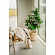 Greenmoods Kunstplant Rubber Plant 150 cm Greenmoods Kunstplant Rubber Plant 150 cm