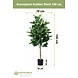 Greenmoods Kunstplant Rubber Plant 150 cm Greenmoods Kunstplant Rubber Plant 150 cm