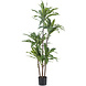 Greenmoods Kunstplant Dracena Fragnans 150 cm Greenmoods Kunstplant Dracena Fragnans 150 cm