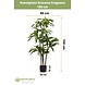 Greenmoods Kunstplant Dracena Fragnans 150 cm Greenmoods Kunstplant Dracena Fragnans 150 cm