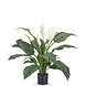 Greenmoods Kunstplant Spathiphyllum wit 85 cm Greenmoods Kunstplant Spathiphyllum wit 85 cm