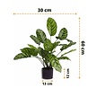 Greenmoods Kunstplant Calathea Makoyana 60 cm Greenmoods Kunstplant Calathea Makoyana 60 cm