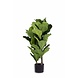 Greenmoods Kunstplant Fiddle Leaf 100 cm Greenmoods Kunstplant Fiddle Leaf 100 cm