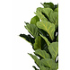 Greenmoods Kunstplant Fiddle Leaf 100 cm Greenmoods Kunstplant Fiddle Leaf 100 cm
