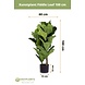 Greenmoods Kunstplant Fiddle Leaf 100 cm Greenmoods Kunstplant Fiddle Leaf 100 cm