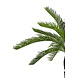 Greenmoods Kunstplant Baby Cycas Palm 60 cm Greenmoods Kunstplant Baby Cycas Palm 60 cm